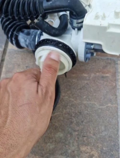 539797262_31632497093031045_799297082153879756_n